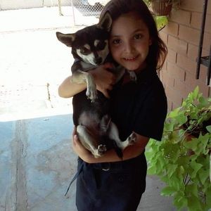 Meet your Posher, Jazmin